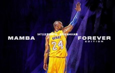 九游体育_SKT三比零轻取FW，强势挺进MSI决赛